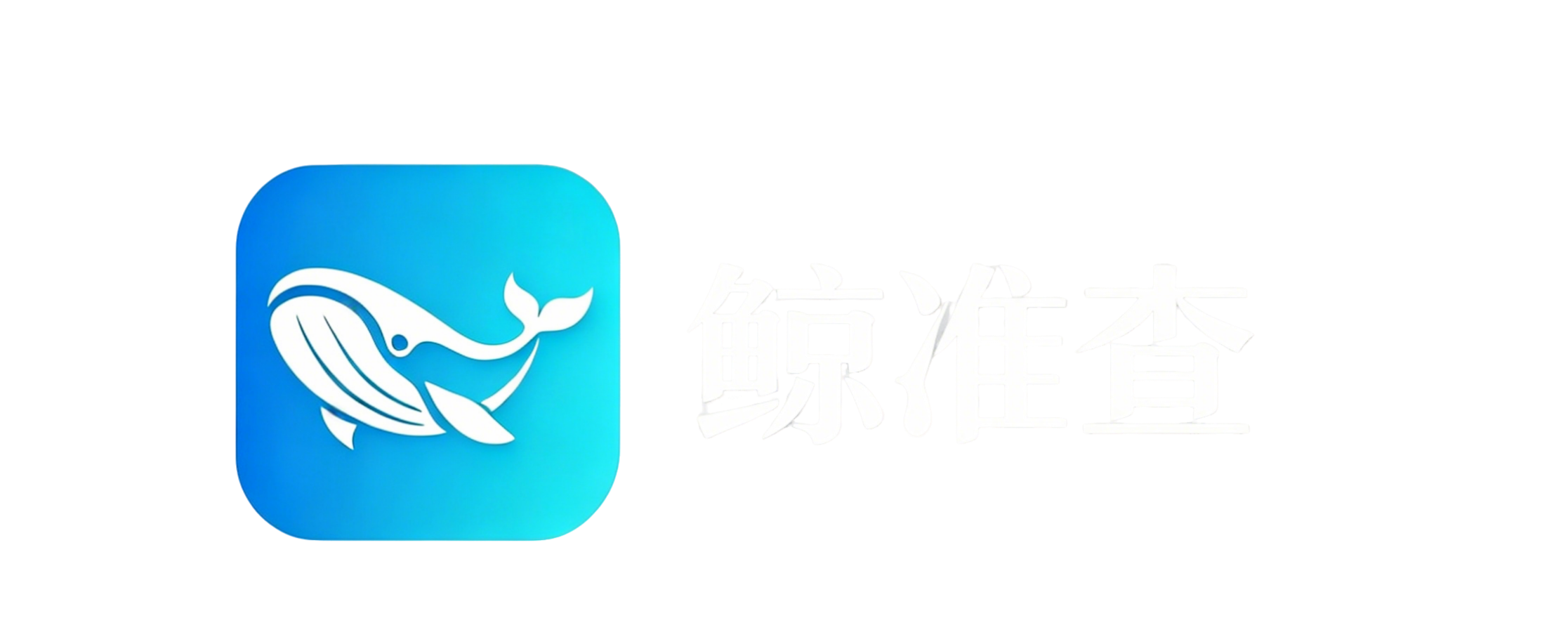 鲸准查